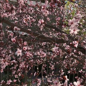 Meet your Posher, Marilyn